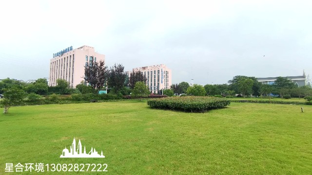 绿化养护-秋季草坪养护的几大要点有哪些?