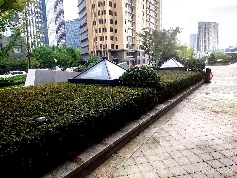 厂区绿化养护-绿篱修剪后效果3