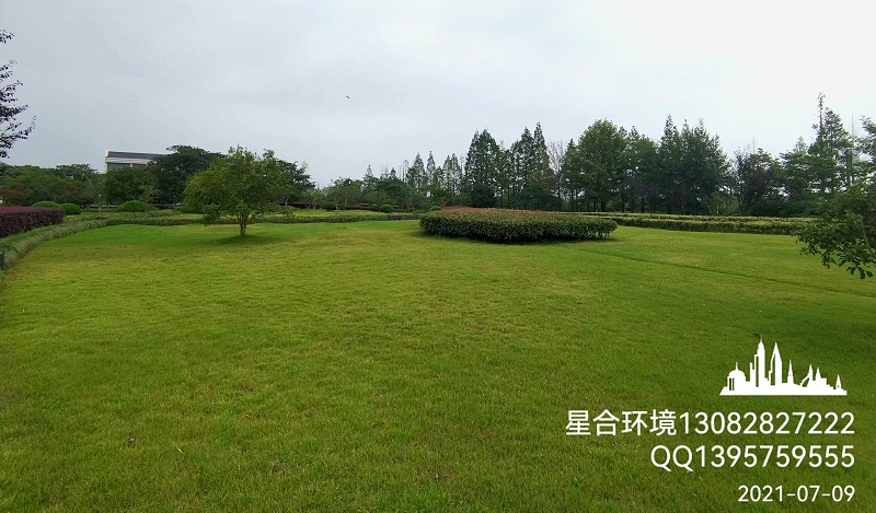 绿化养护中秋季草坪养护的几大要点
