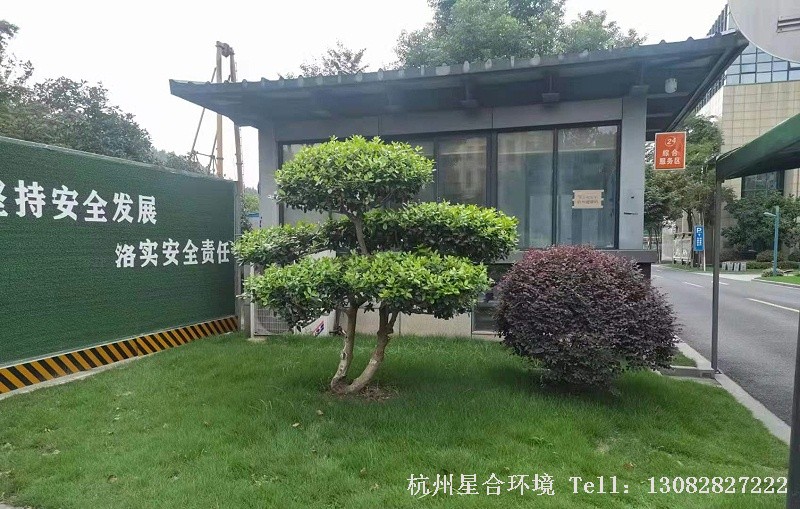 绿化养护项目