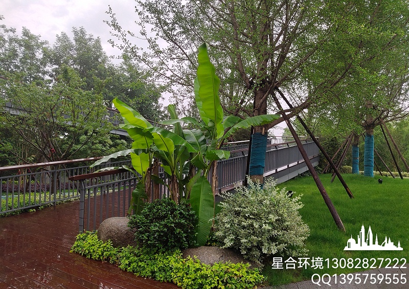 绿化工程