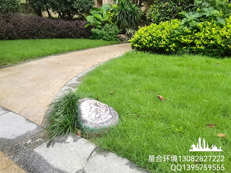 绿化工程