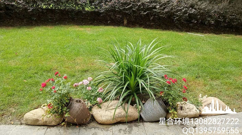 绿化工程