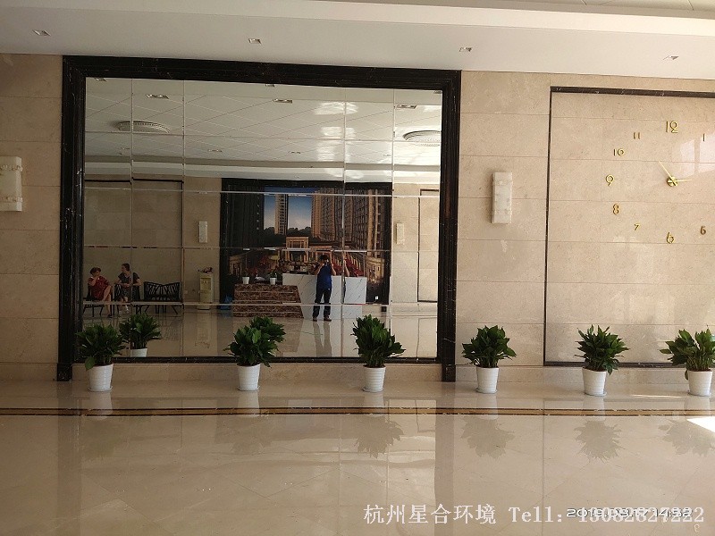小区植物租摆