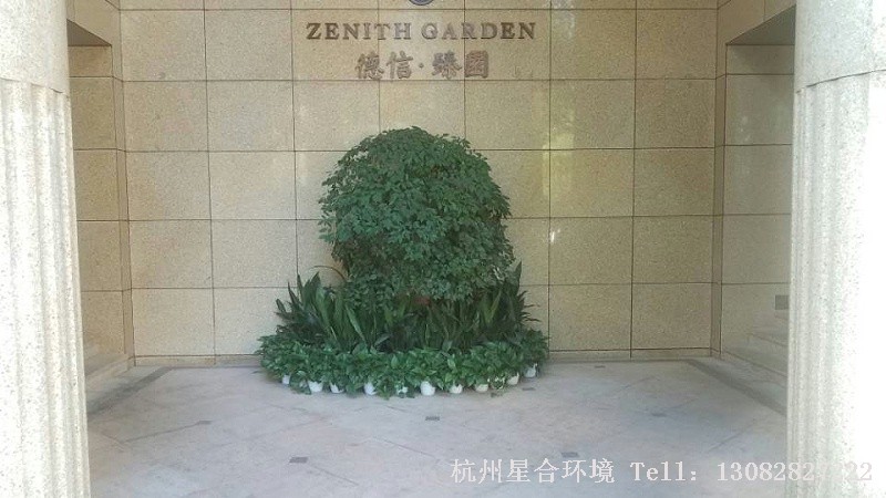 小区植物租摆