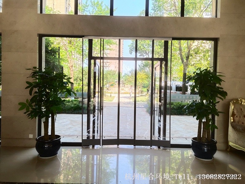 小区植物租摆