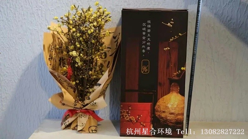 每到年宵时节，蜡梅瓶植物株摆花礼盒售价258元，销往全国各地一两千份。