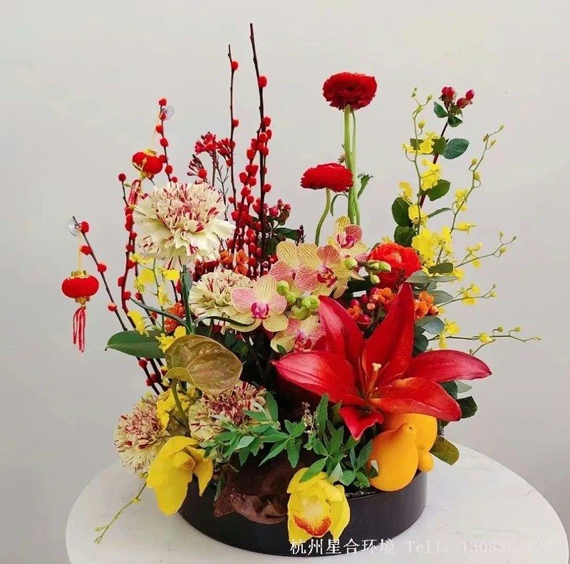 寓意：“春”代表着希望和生机，春是百花齐放的季节。一盘喜庆红与黄金黄的植物株摆最是春节应景色，告别过去的一年，愿来年繁花似锦。