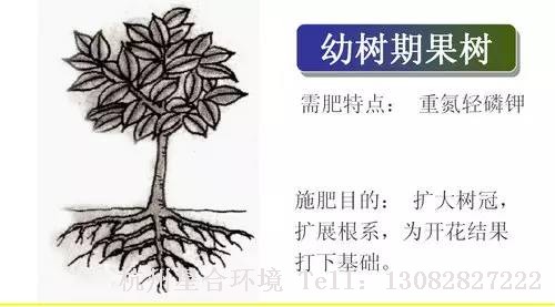 小区养护