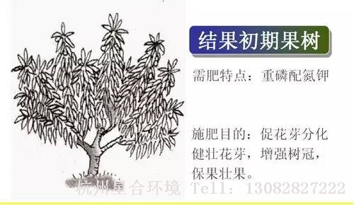 小区养护