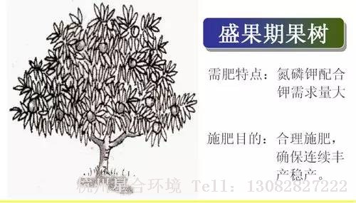 小区养护