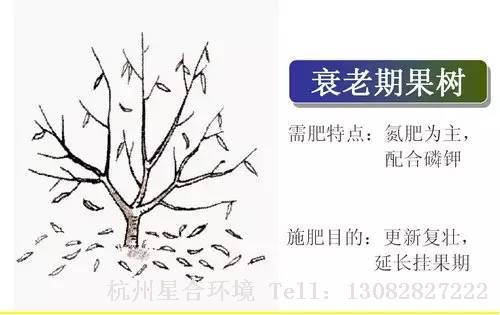 小区养护