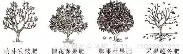 小区养护