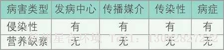 小区养护