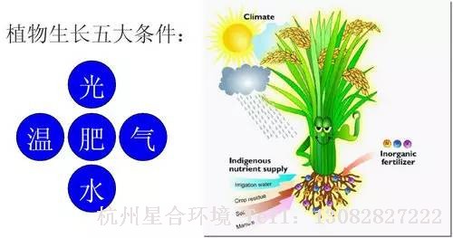 小区养护