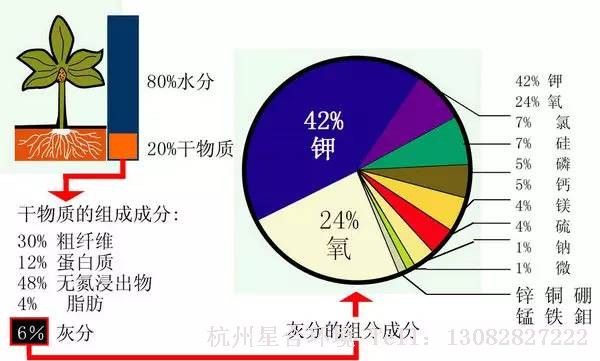 小区养护