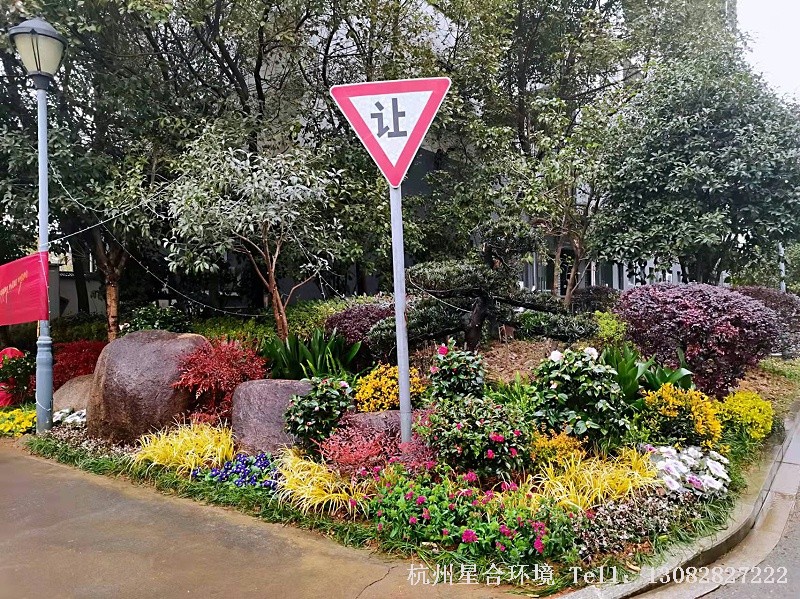 小品花境工程整改后效果2