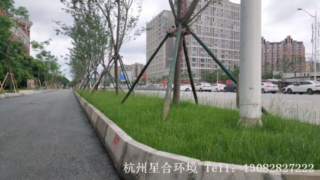 绿化工程