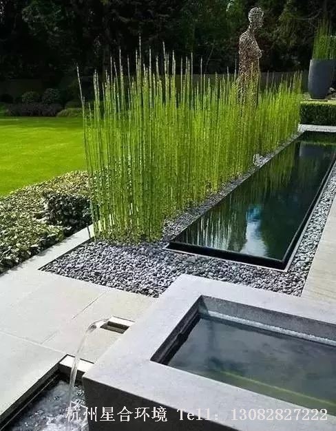 花园设计静态水池的造型和水面也极具观赏价值。