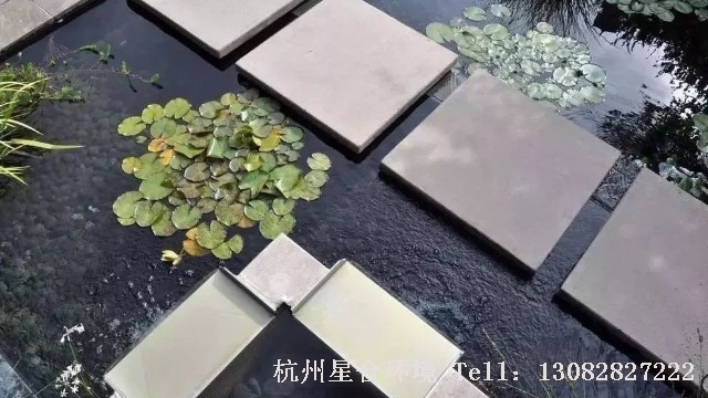 花园设计