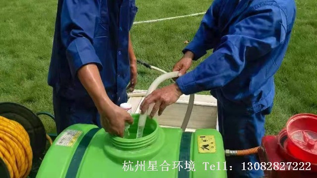 绿化养护