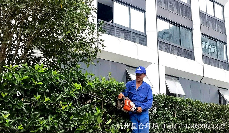 绿化养护修剪