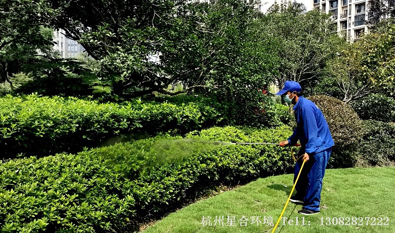 绿化养护打药