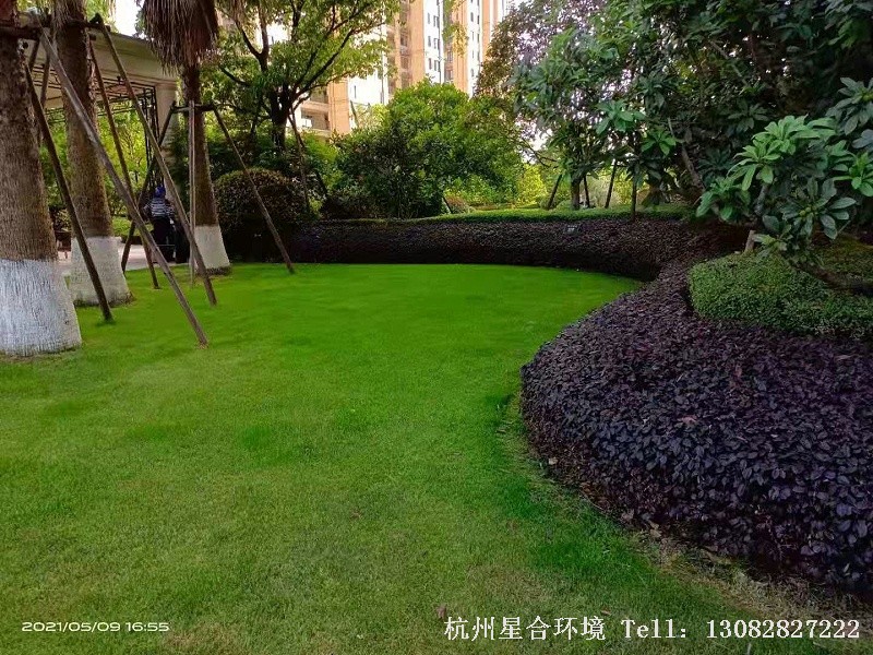 小区绿化养护