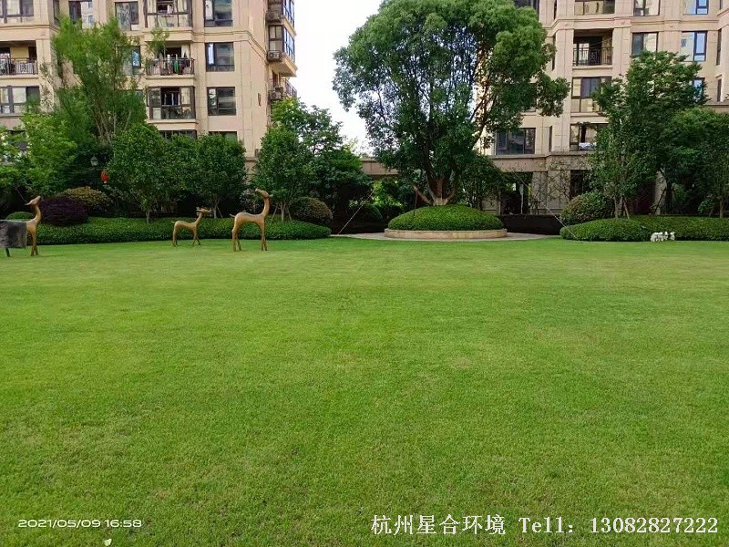 小区绿化养护