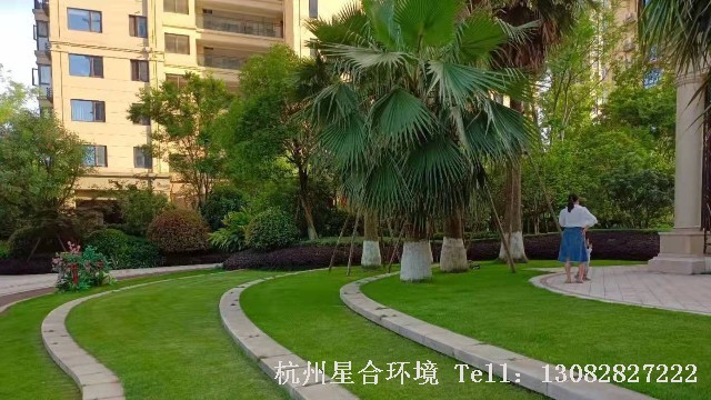 小区绿化养护-德信湖畔雅苑小区绿化养护