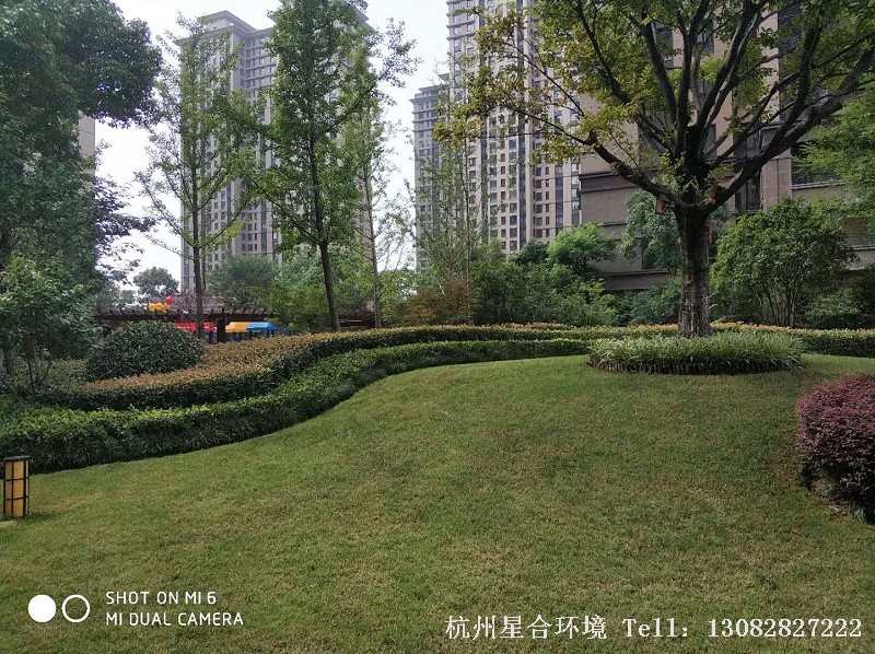 绿化养护