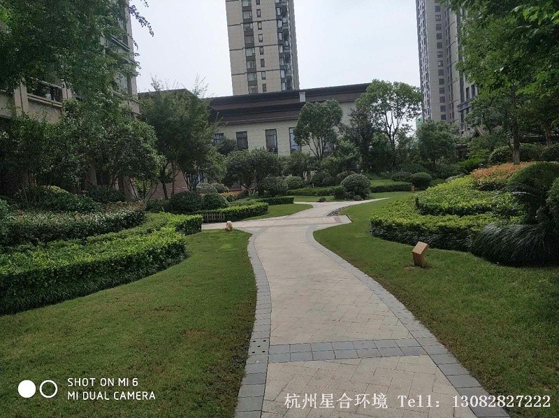 绿化养护