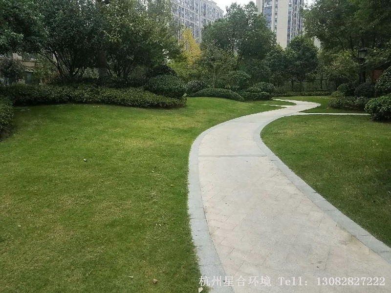 绿化养护