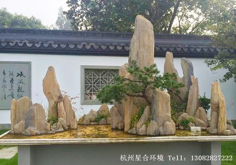 苗木基地