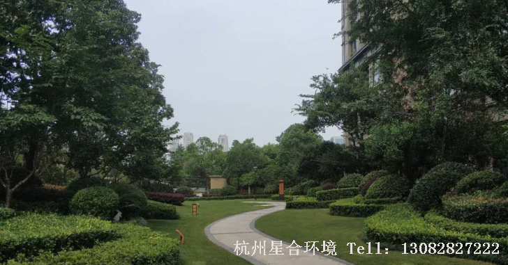 绿化养护
