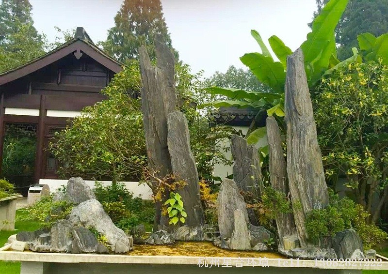 苗木基地