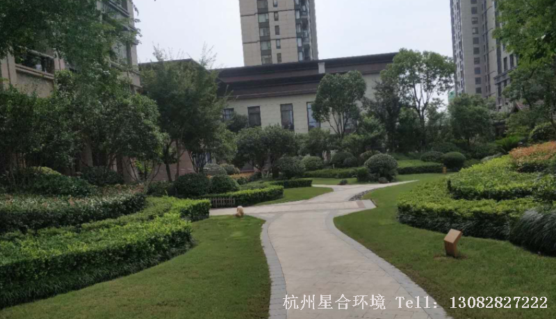 绿化养护