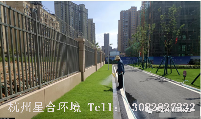 绿化养护