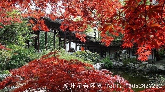 绿化工程
