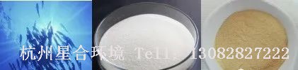 绿化养护