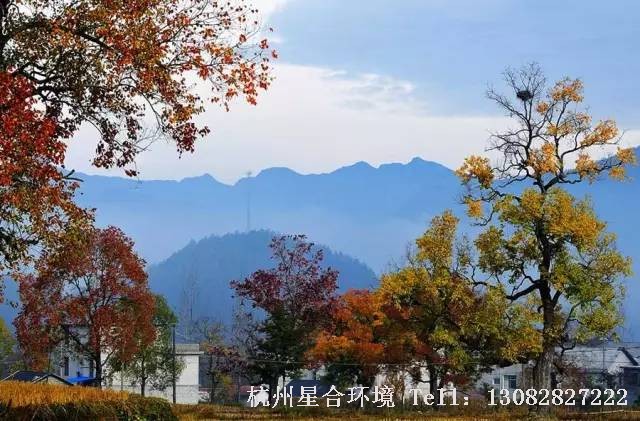 绿化工程