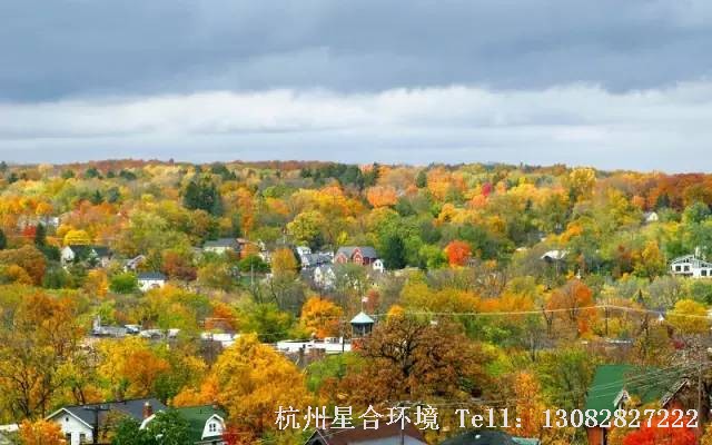 绿化工程