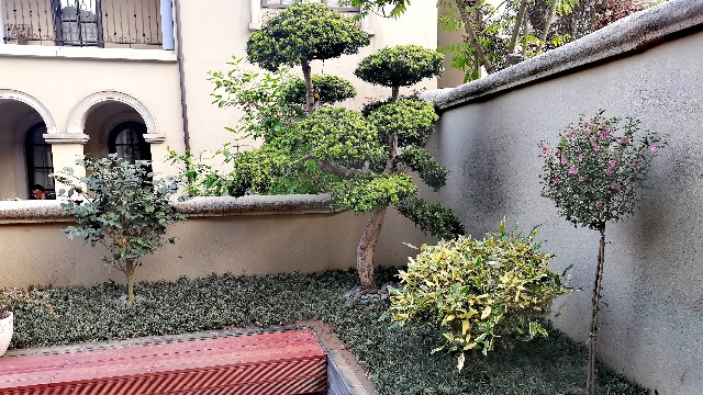 富阳阳光城上林湖27-1庭院景观绿化施工工程