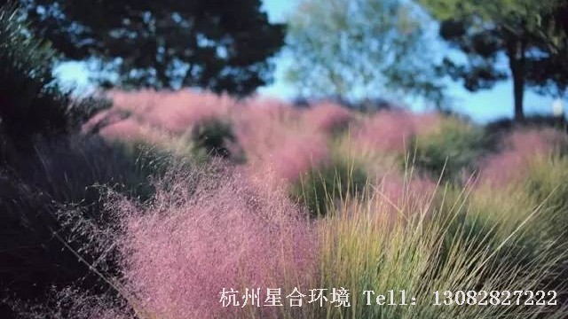 绿化施工