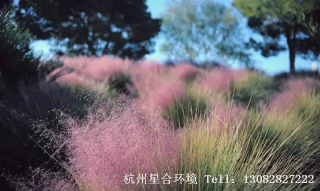 绿化施工