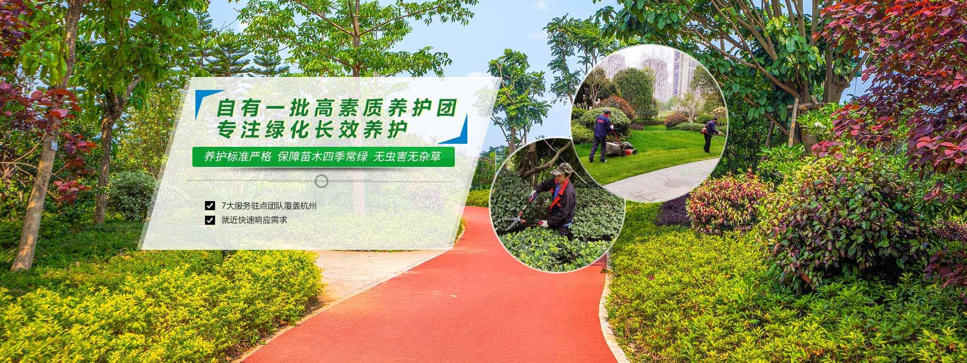 星合环境绿化工程自有一批高素质养护团队