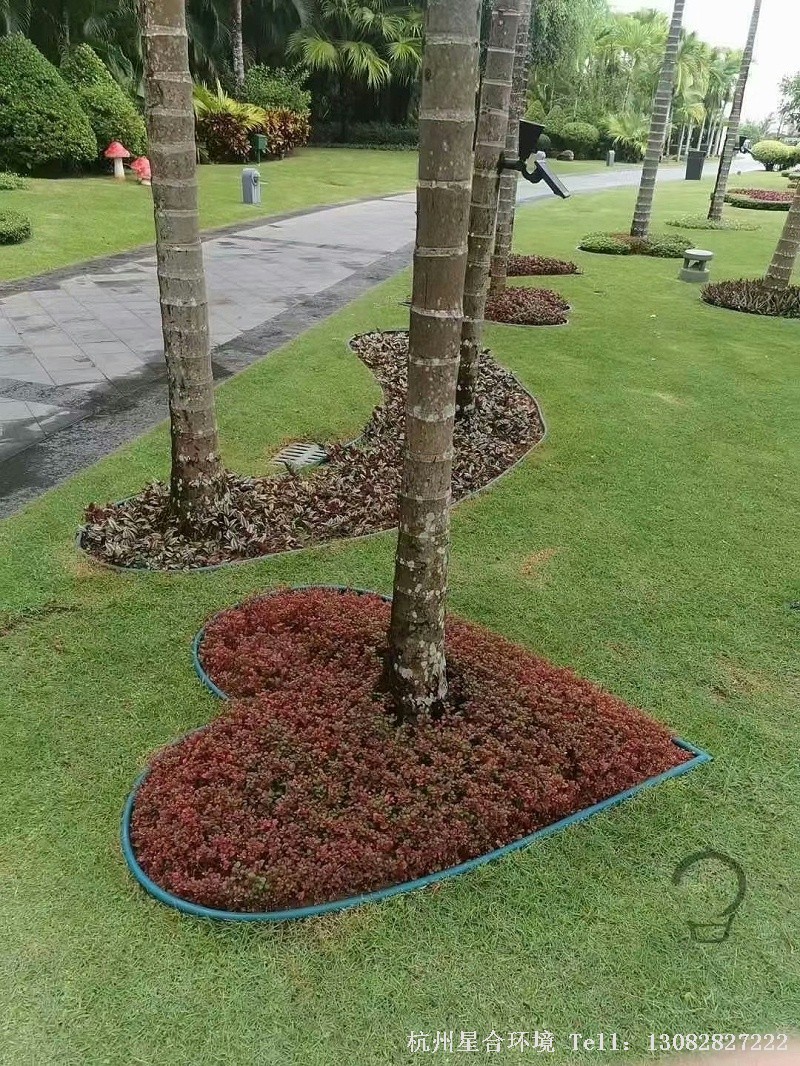 绿化工程