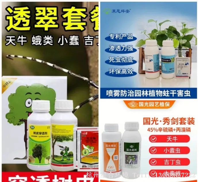 绿化养护