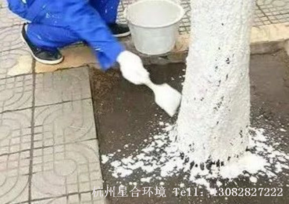 星合环境-重点工作病虫害防治