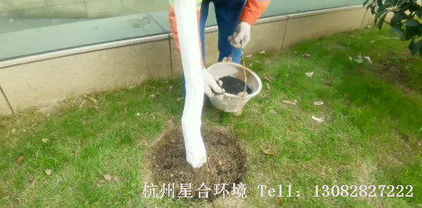 星合环境-施肥：翻地冬耕，施足冬肥，对长势不好的苗木施肥，长势不好的草坪施肥。